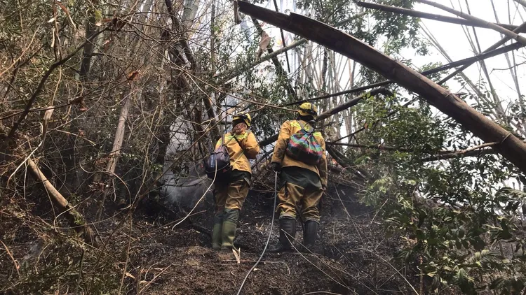 火勢已初步控制。林務局提供