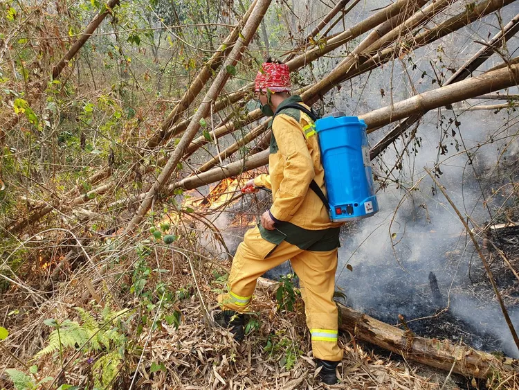 軍警消總動員滅火。林務局提供
