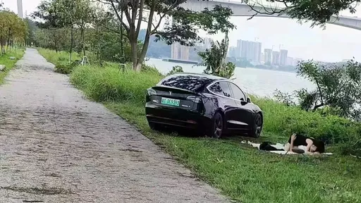 特斯拉駕駛「步道激情」遭車友直擊　挫塞！他壓在身下的竟然不是老婆