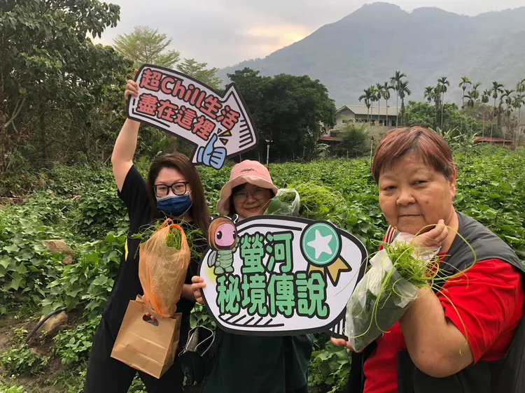 遊客到那瑪夏採摘龍鬚菜體驗。觀光局提供
