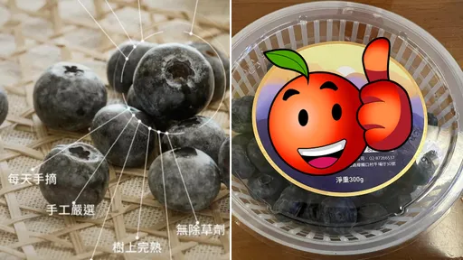 好市多「本土神級藍莓」超驚豔！打趴所有進口藍莓　會員點出唯一缺點