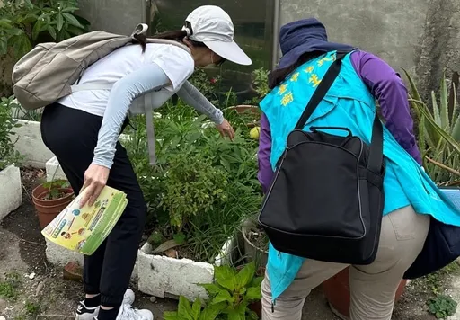 大里50多歲男登革熱確診 東南亞返國後發病!台中今年第2例