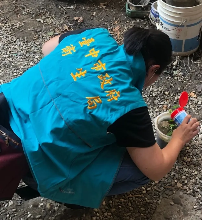 衛生局人員清除孳生源。市府提供