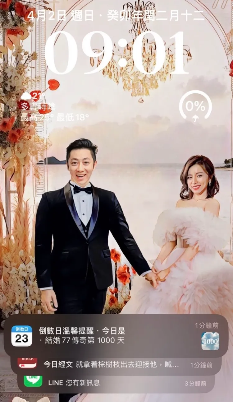 王瞳手機桌布是和艾成手繪婚紗照。翻攝王瞳IG