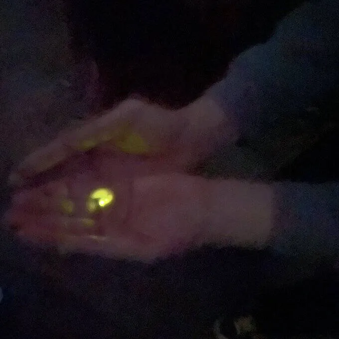 奈良美智手捧螢火蟲。取自twitter：yoshitomo nara / 奈良美智@michinara3