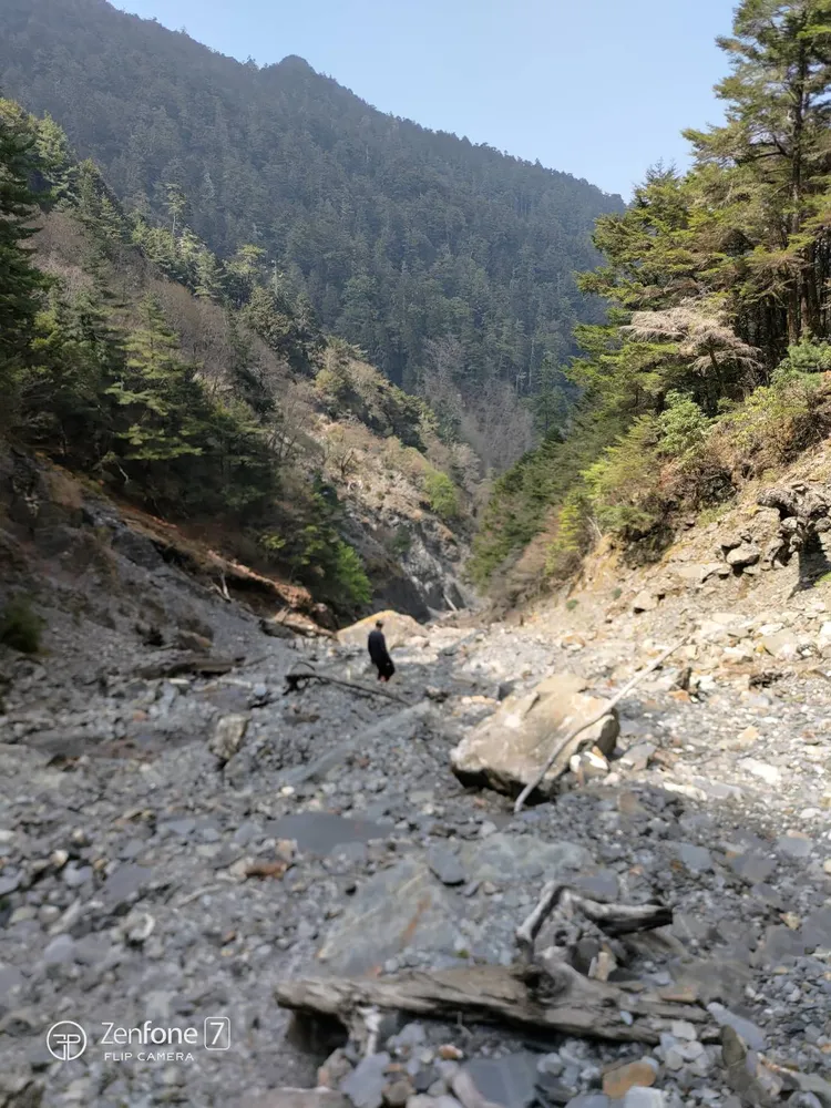 搜救人員架設繩索下切干卓萬山斷崖，在第三拉繩處下方達100公尺處發現失聯登山客遺體。南投縣消防局提供