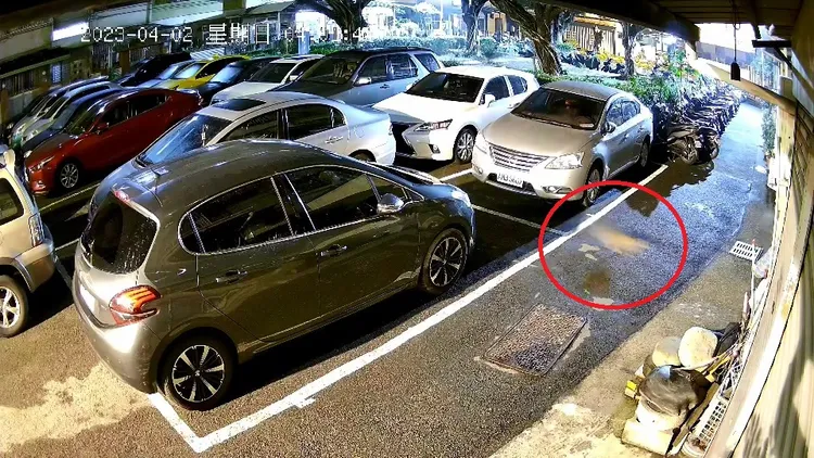 流浪貓被狗追，從停車場跑到民宅旁躲藏。民眾提供