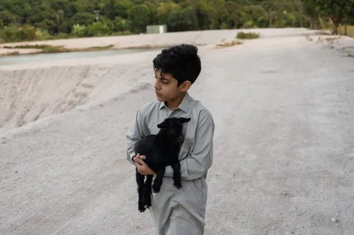 10歲童星林諾奪金像獎最佳新演員 恩人黃秋生沒陪同上台原因曝光