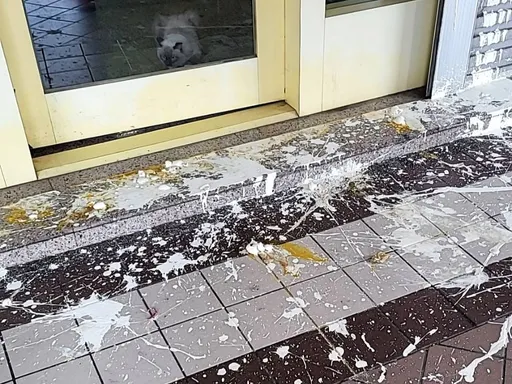 鸡蛋是无辜的!不满泰国佛牌削价竞争 台南宗教文物店惨遭「漆蛋」洗礼