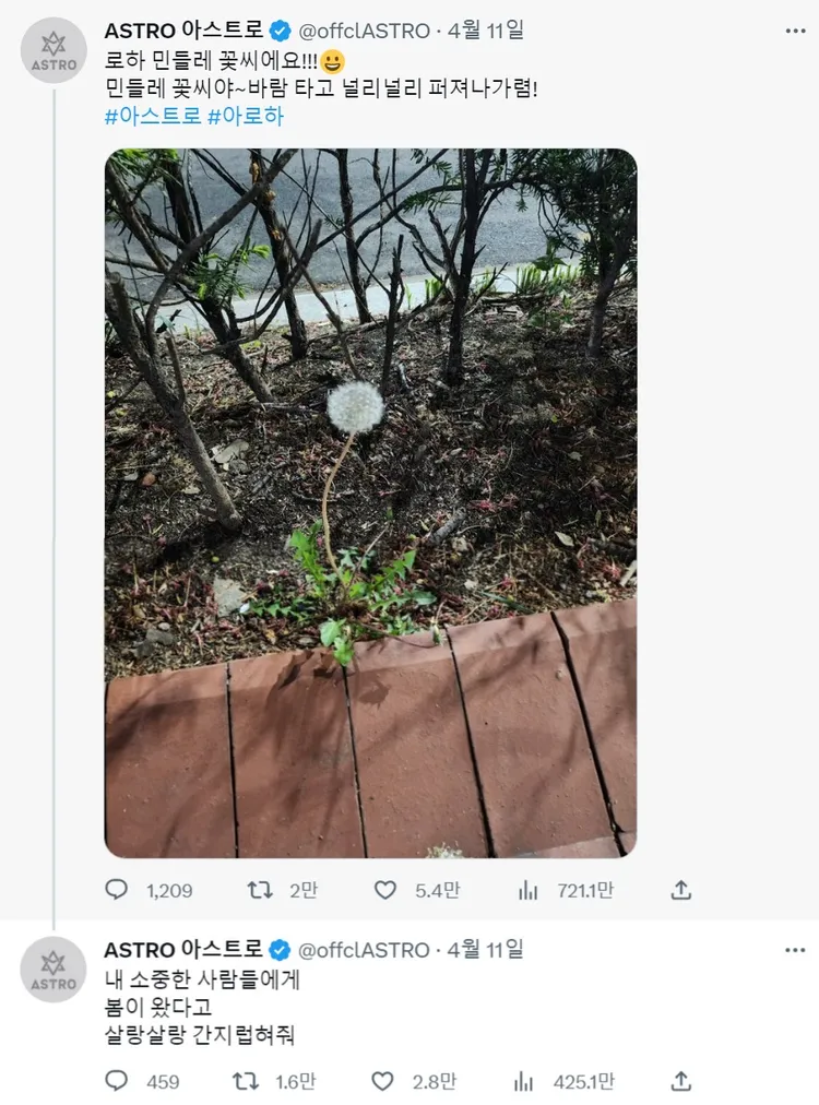 文彬4月11日在官方推特最後po文，貼出蒲公英的照片，花語有離別之意。翻攝ASTRO推特
