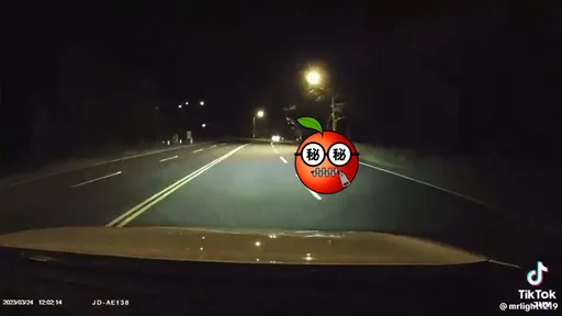 墾丁公路突竄出「童話書裡的生物」!全車男人都崩潰了 狂吼30秒停不了