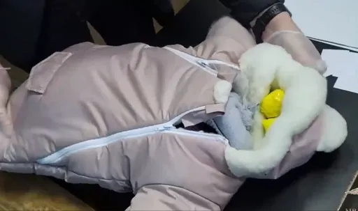 100%傻眼貓咪！女推嬰兒車載無頭嬰　警盤查結局超展開