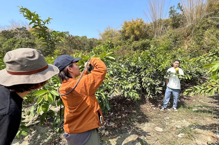 高流《海報》創刊「芭樂歌」封面照在高雄盛產芭樂的燕巢取景。高流提供