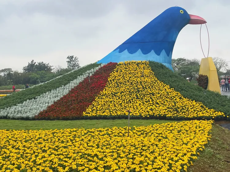 桃園海芋季現場花卉盛開。桃園市府提供