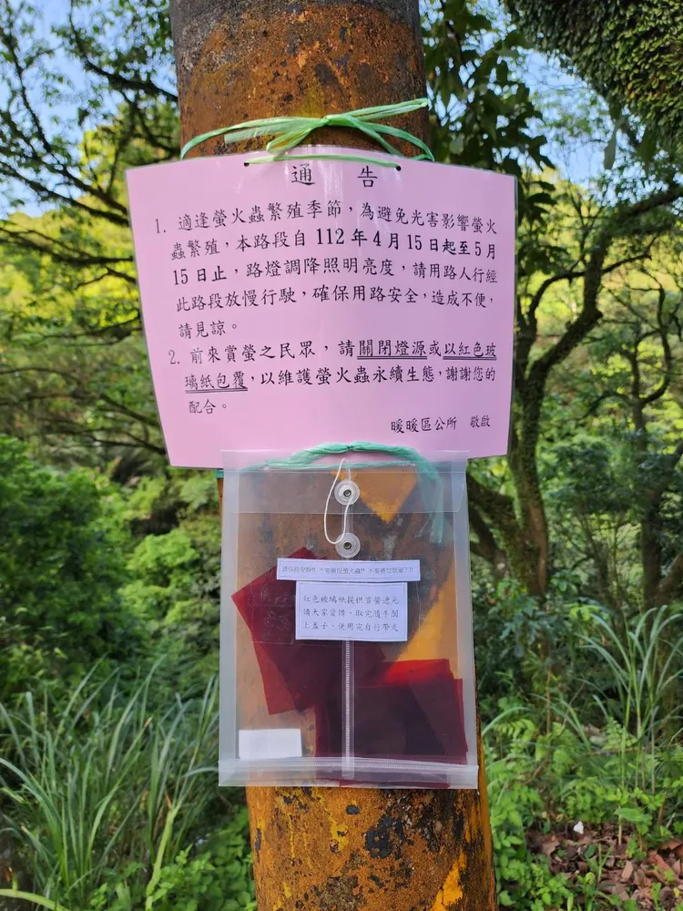 觀賞螢火蟲時勿大聲喧嘩、勿捕捉踩踏、勿以強光直接照射螢火蟲。翻攝照片