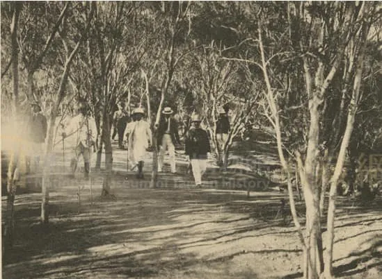 1923年4月裕仁皇太子（後來的昭和天皇）行啟高雄，4月22日午後爬上高雄山賞景，途中留下一張在森林漫步的照片。《高雄州行啟紀念寫真帖》取自國立臺灣歷史博物館典藏網