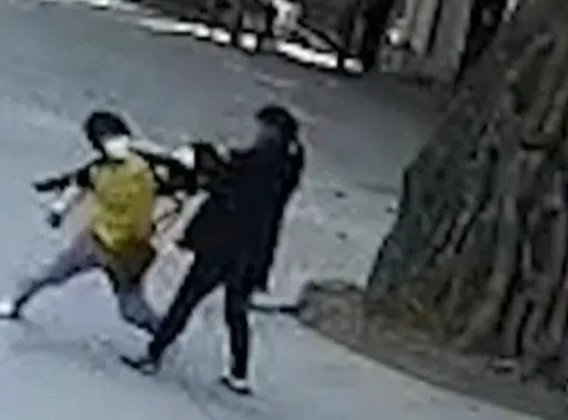 狼性大國!「少年狼」為手機當街痛毆媽媽 往死裡打再掉頭就走