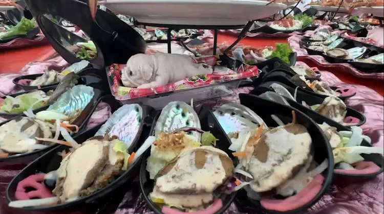 總鋪師「阿隆師」娶媳席開200桌流水席、菜色浮誇。翻攝畫面