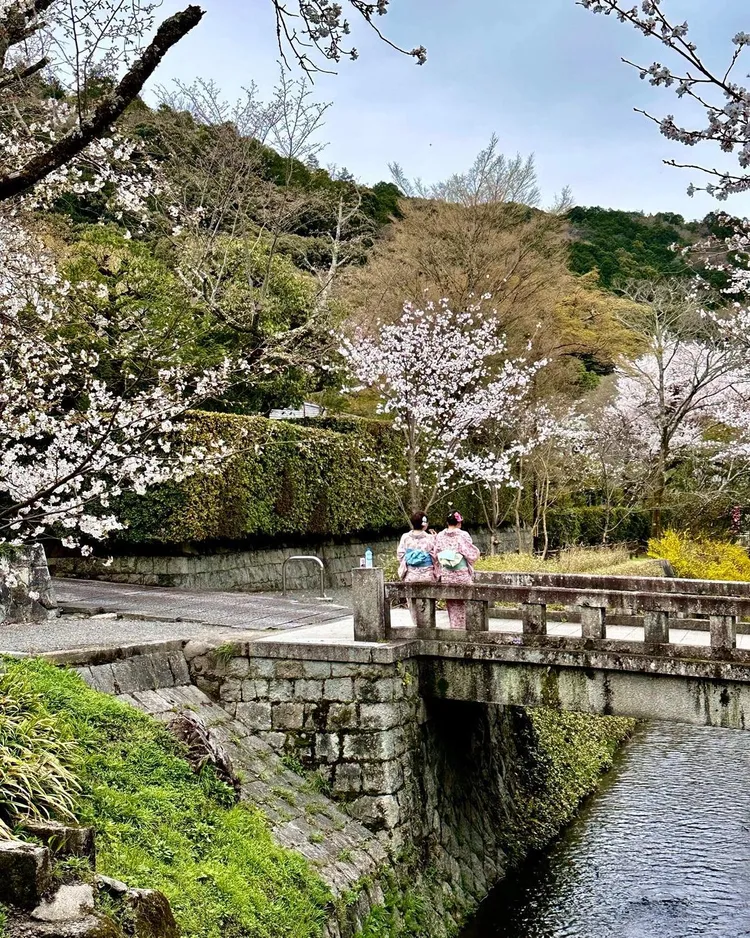 莉莉柯林斯也分享了日本的絕美櫻花照。翻攝lilycollins IG