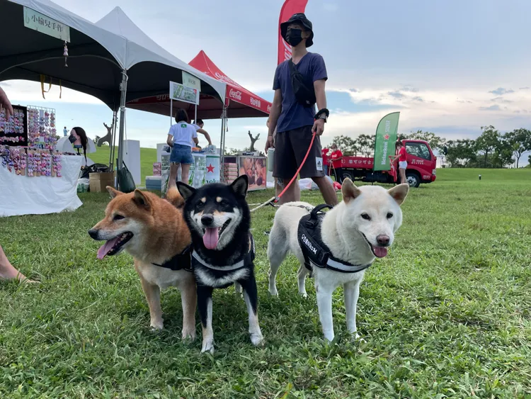 歡迎帶毛孩來放電。西拉雅風管處提供