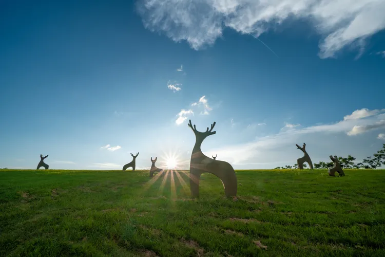 西拉雅大草原景色優美，令人心曠神怡。西拉雅風管處提供