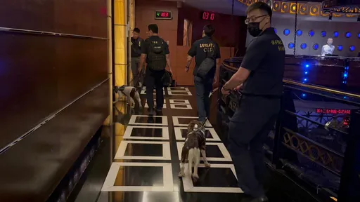 大帝國舞廳遭檢警搜索　大班涉嫌販毒！高市府祭鐵腕勒令歇業