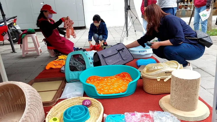 寵物二手用品又以外出籠及二手衣最受歡迎。動保處提供