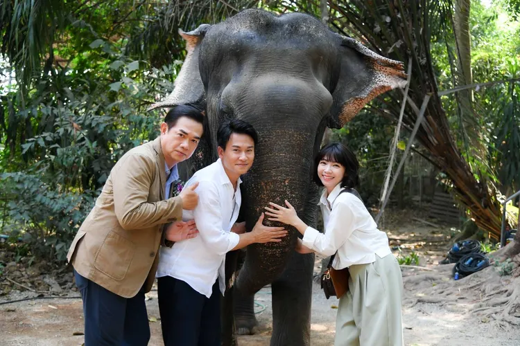 曾智希（右起）、王振復、張銘傑you大象合影。三立提供