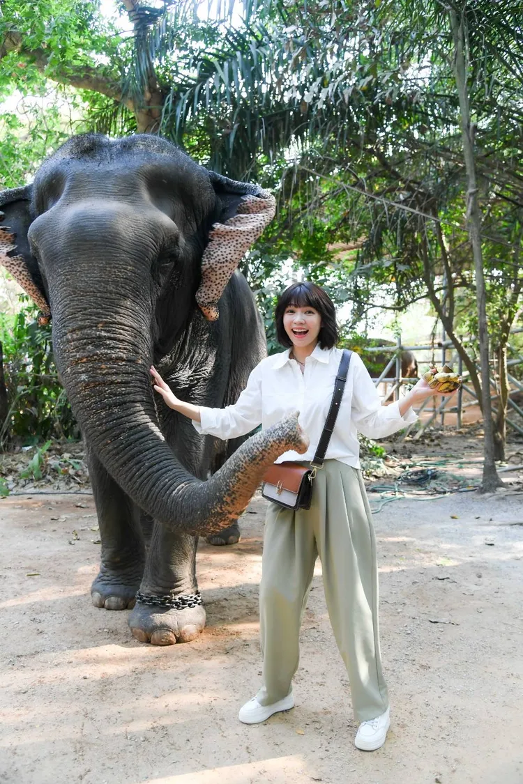 曾智希圓夢見大象。三立提供