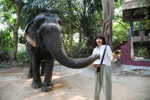 曾智希太辣遭大象長鼻襲胸　王振復笑「牠也懂得吃豆腐」