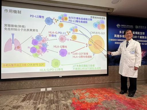 CAR-T細胞治療突破!中國附醫創新異體移植 殺3大癌僅目前2成費用