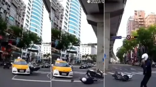 三寶對決！機車騎士和小黃之戰他秒被擊落　網一看影片：療癒了