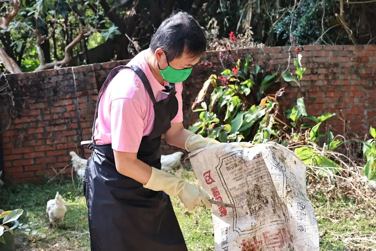 湯志偉清理雞大便。施昂強攝