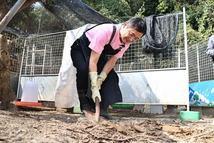 湯志偉挖土坑給雞洗澡。施昂強攝
