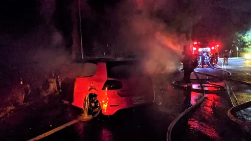 載女友夜遊野狗突竄出　新北男自撞電桿！剛下車就燒成火球