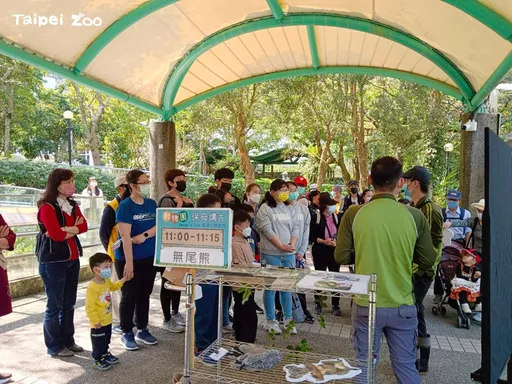 明天兒童節限定!動物園小孩免費入場 北美館一律免門票