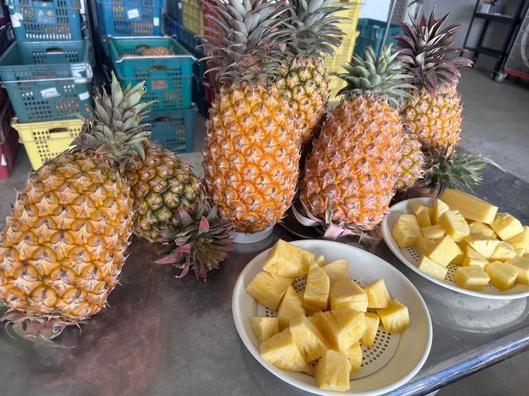 南市府呼籲農民不要搶快採收。市府提供