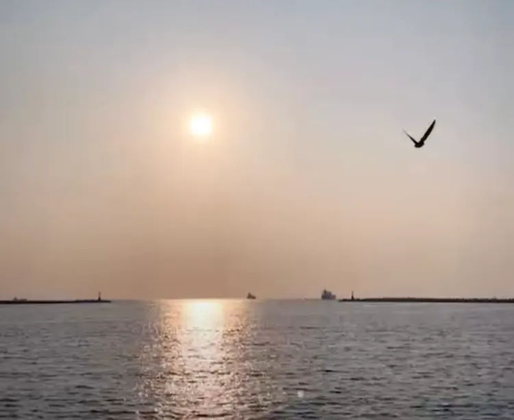 天后視角的西子灣夕陽美景。