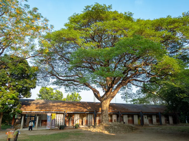 高雄與日本有深厚連結的知名景點橋頭糖廠。觀光局提供