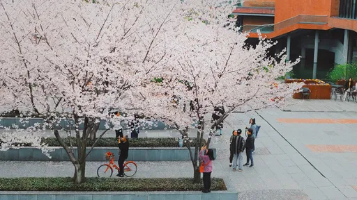 考取公僕3天「被主動放棄」 碩士被揪3年前辱華!網譏:不愛國考什麼公務員