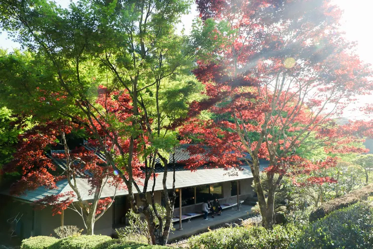 慧洲園的午後景致。賴昀岫攝