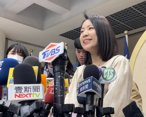 郝龍斌、鄭麗文「痛苦說」表態挺費　徐巧芯笑了：為什麼要痛苦？