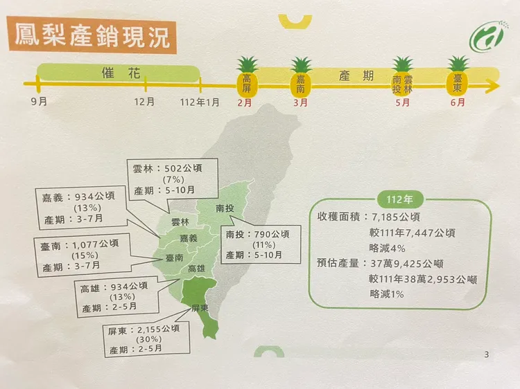 鳳梨產銷現況。陳怡文攝