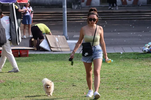 休假帶毛小孩出門放風啦!北市大推3種新玩法 「這天」起還可抽好禮