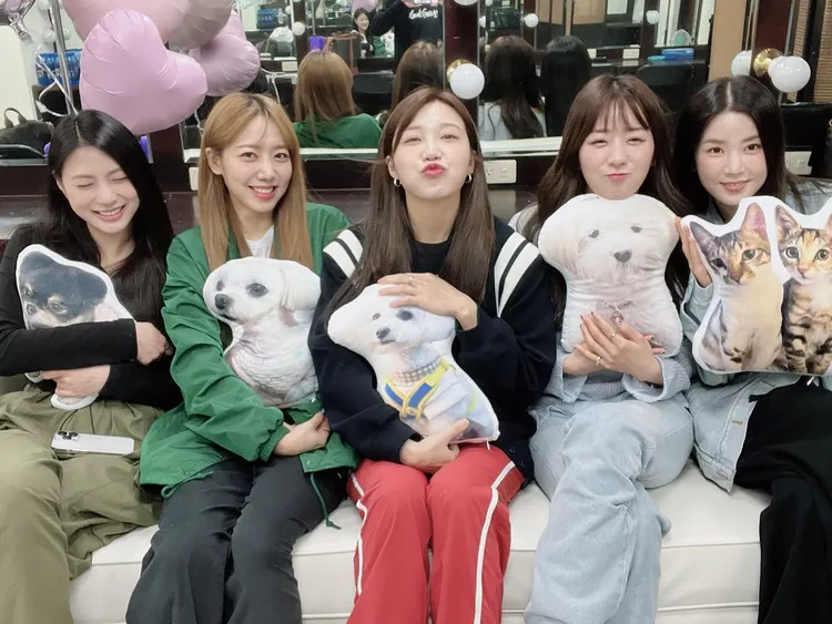 台灣粉絲特別做了Apink每個人的毛孩抱枕，非常貼心。翻攝南珠IG