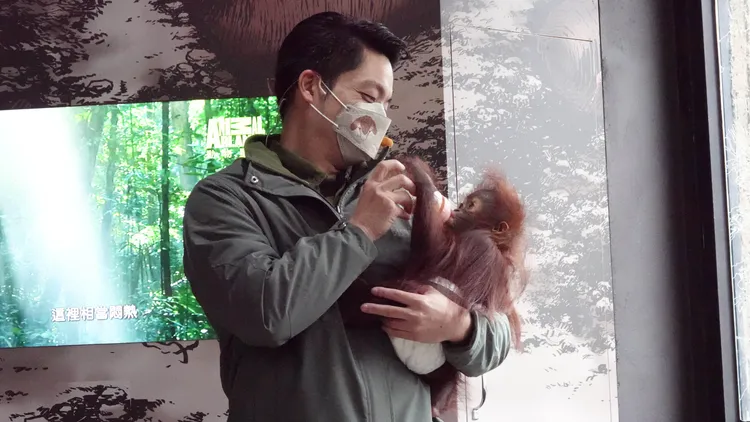 蔣萬安這幾天將和徐巧芯、費鴻泰會面。資料照片