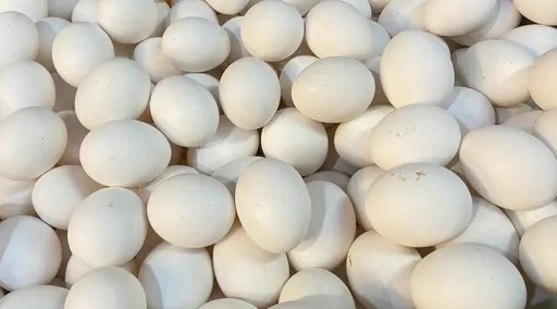 蛋液發霉長蟲賣去做「乖乖」　過期蛋賣知名賣場！黑心父子檔削5541萬下場慘