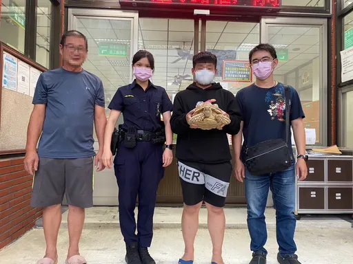 蘇卡達龜逛大街!飼主急報警協尋 原來牠趁這時機落跑