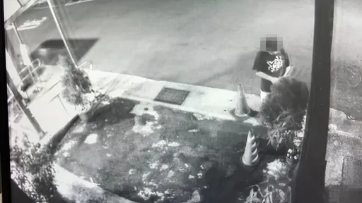 他路邊摘「大麻」上網賣!畫面曝光 警以為釣到大魚一驗傻眼了