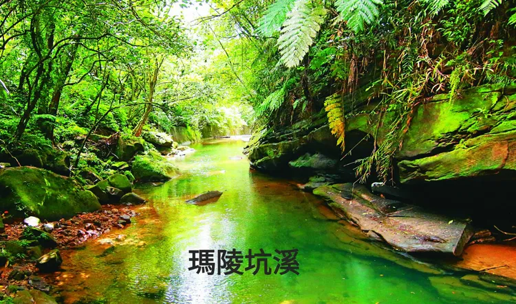 「瑪陵坑溪」號稱是台版亞馬遜河。翻攝畫面